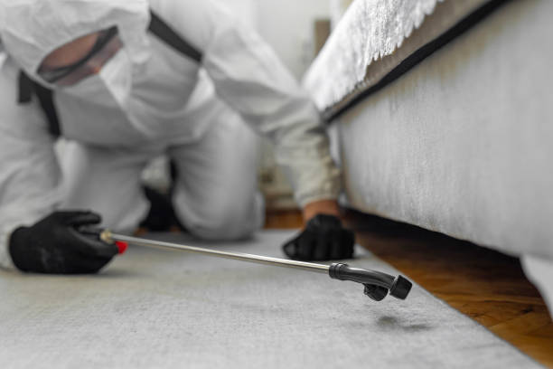 Professional Termite Control technician working in Mesquite, TX