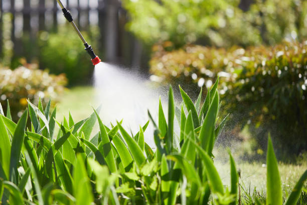 24/7 Emergency Termite Control experts in Mesquite, TX