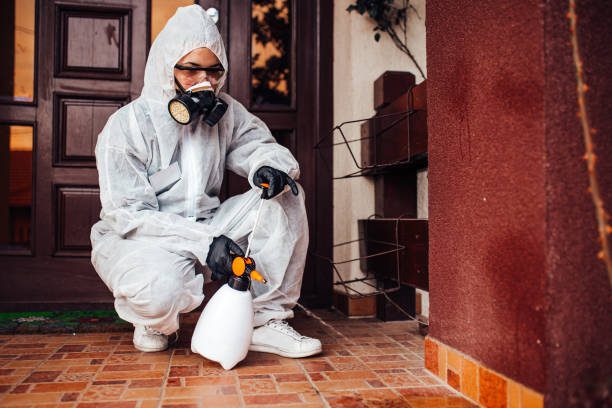 Reliable Termite Control contractor in Mesquite, TX by Nex Pest Control